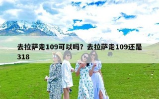 去拉萨走109可以吗？去拉萨走109还是318