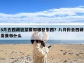 8月去西藏旅游要带哪些东西？八月份去西藏需要带什么