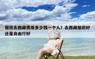 报团去西藏费用多少钱一个人？去西藏报团好还是自由行好