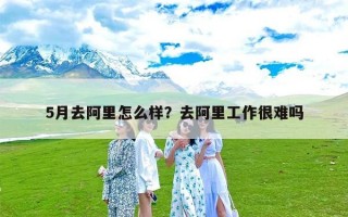 5月去阿里怎么样？去阿里工作很难吗