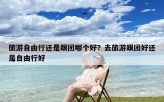 旅游自由行还是跟团哪个好？去旅游跟团好还是自由行好