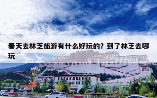 春天去林芝旅游有什么好玩的？到了林芝去哪玩