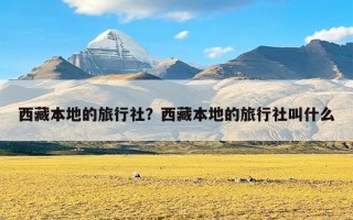 西藏本地的旅行社？西藏本地的旅行社叫什么