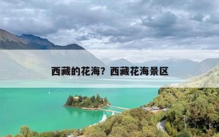西藏的花海？西藏花海景区