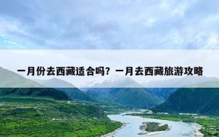 一月份去西藏适合吗？一月去西藏旅游攻略