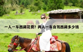 一人一车西藏花费？两人一车自驾西藏多少钱