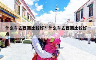 什么车去西藏比较好？什么车去西藏比较好一点