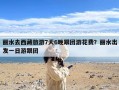 丽水去西藏旅游7天6晚跟团游花费？丽水出发一日游跟团