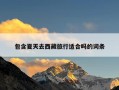包含夏天去西藏旅行适合吗的词条