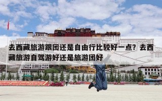 去西藏旅游跟团还是自由行比较好一点？去西藏旅游自驾游好还是旅游团好