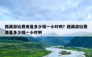 西藏游玩费用是多少钱一小时啊？西藏游玩费用是多少钱一小时啊