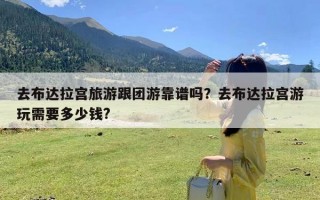 去布达拉宫旅游跟团游靠谱吗？去布达拉宫游玩需要多少钱?