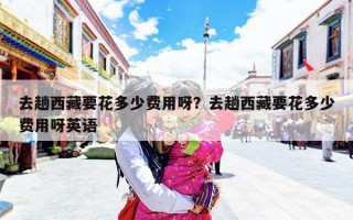 去趟西藏要花多少费用呀？去趟西藏要花多少费用呀英语