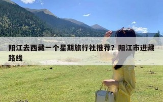 阳江去西藏一个星期旅行社推荐？阳江市进藏路线