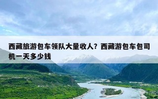 西藏旅游包车领队大量收人？西藏游包车包司机一天多少钱