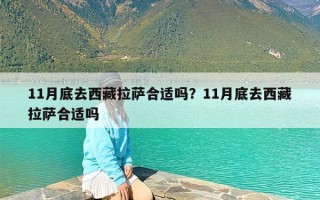 11月底去西藏拉萨合适吗？11月底去西藏拉萨合适吗