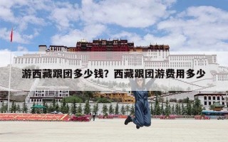 游西藏跟团多少钱？西藏跟团游费用多少