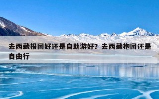 去西藏报团好还是自助游好？去西藏抱团还是自由行