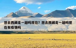 想去西藏走一趟吗现在？想去西藏走一趟吗现在有疫情吗