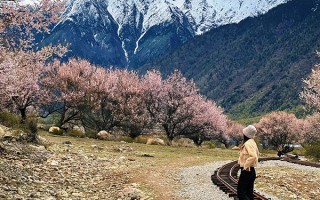 从烟台去西藏旅游要花多少钱？烟台去西藏旅游一般需要多少钱？