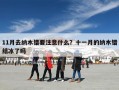 11月去纳木错要注意什么？十一月的纳木错结冰了吗