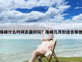 珠峰什么时间去最好玩？珠峰几月份适合攀登