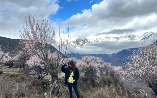 去西藏林芝看桃花玩什么路线好？林芝桃花节旅游攻略6日游路线推荐？