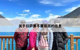 关于拉萨要不要报团的信息