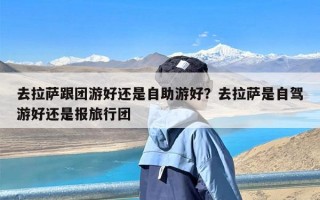 去拉萨跟团游好还是自助游好？去拉萨是自驾游好还是报旅行团