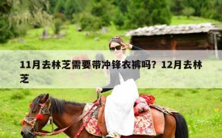 11月去林芝需要带冲锋衣裤吗？12月去林芝