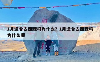 1月适合去西藏吗为什么？1月适合去西藏吗为什么呢