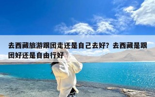 去西藏旅游跟团走还是自己去好？去西藏是跟团好还是自由行好