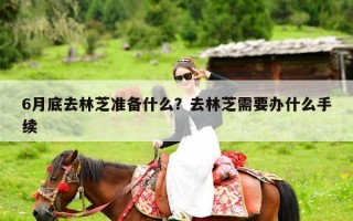 6月底去林芝准备什么？去林芝需要办什么手续