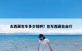 去西藏包车多少钱啊？包车西藏自由行