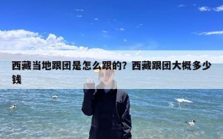 西藏当地跟团是怎么跟的？西藏跟团大概多少钱