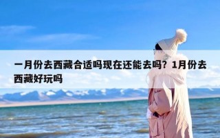 一月份去西藏合适吗现在还能去吗？1月份去西藏好玩吗