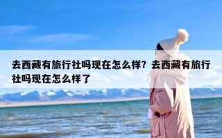 去西藏有旅行社吗现在怎么样？去西藏有旅行社吗现在怎么样了
