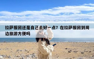 拉萨报团还是自己去好一点？在拉萨报团到周边旅游方便吗