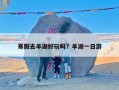 寒假去羊湖好玩吗？羊湖一日游