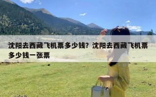 沈阳去西藏飞机票多少钱？沈阳去西藏飞机票多少钱一张票