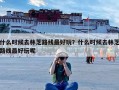 什么时候去林芝路线最好玩？什么时候去林芝路线最好玩呢