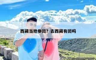 西藏当地参团？去西藏有团吗