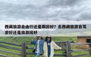 西藏旅游自由行还是跟团好？去西藏旅游自驾游好还是旅游团好