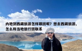 内地到西藏旅游怎样跟团呢？想去西藏旅游,怎么和当地旅行团联系