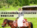8月去林芝旅游要准备什么？8月去林芝旅游要准备什么东西