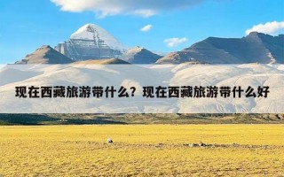 现在西藏旅游带什么？现在西藏旅游带什么好