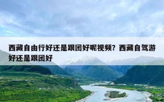 西藏自由行好还是跟团好呢视频？西藏自驾游好还是跟团好