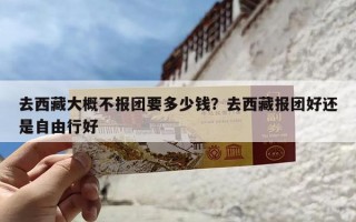 去西藏大概不报团要多少钱？去西藏报团好还是自由行好