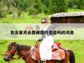 包含夏天去西藏旅行合适吗的词条