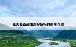 夏天去西藏旅游好玩吗的简单介绍